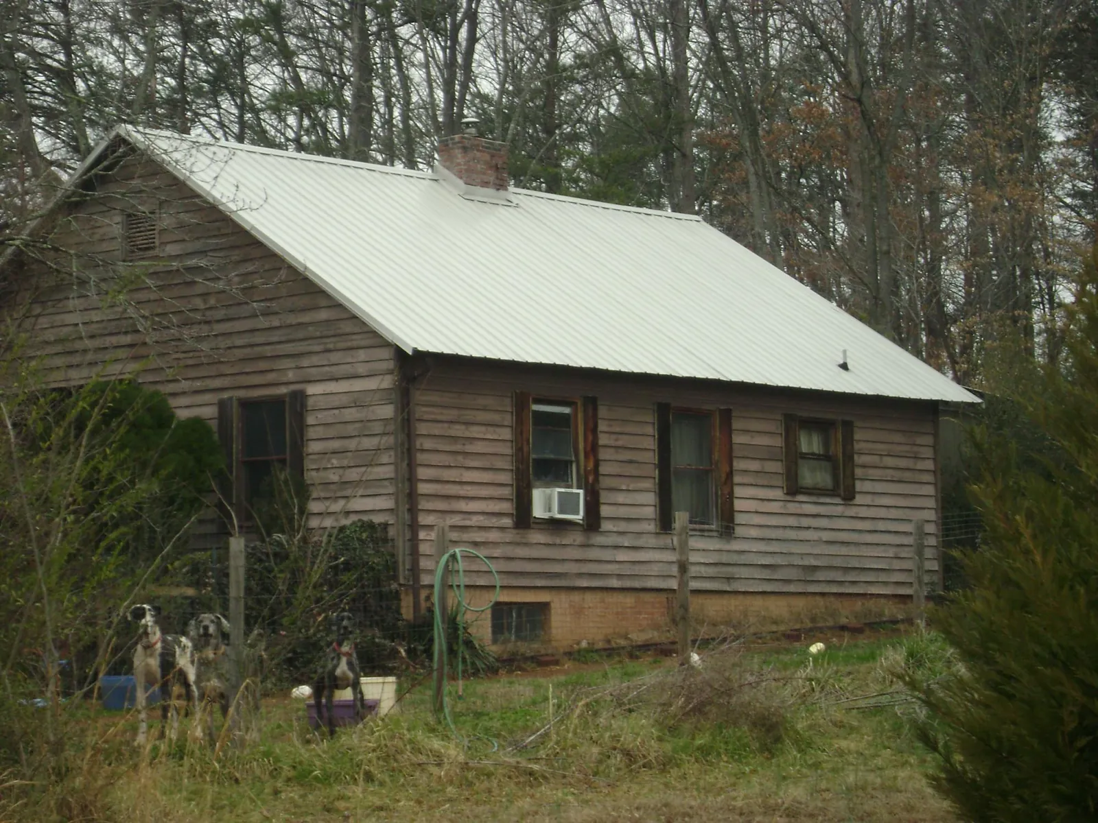 White metal roof on an old wood sided farmhouse, from a Asphalt Shingle Roof Repair job in Hyrum